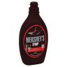CHOCOLATE SYRUP REGULAR